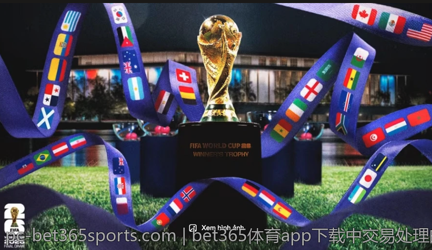 bet365体育app下载中交易处理的速度与效率